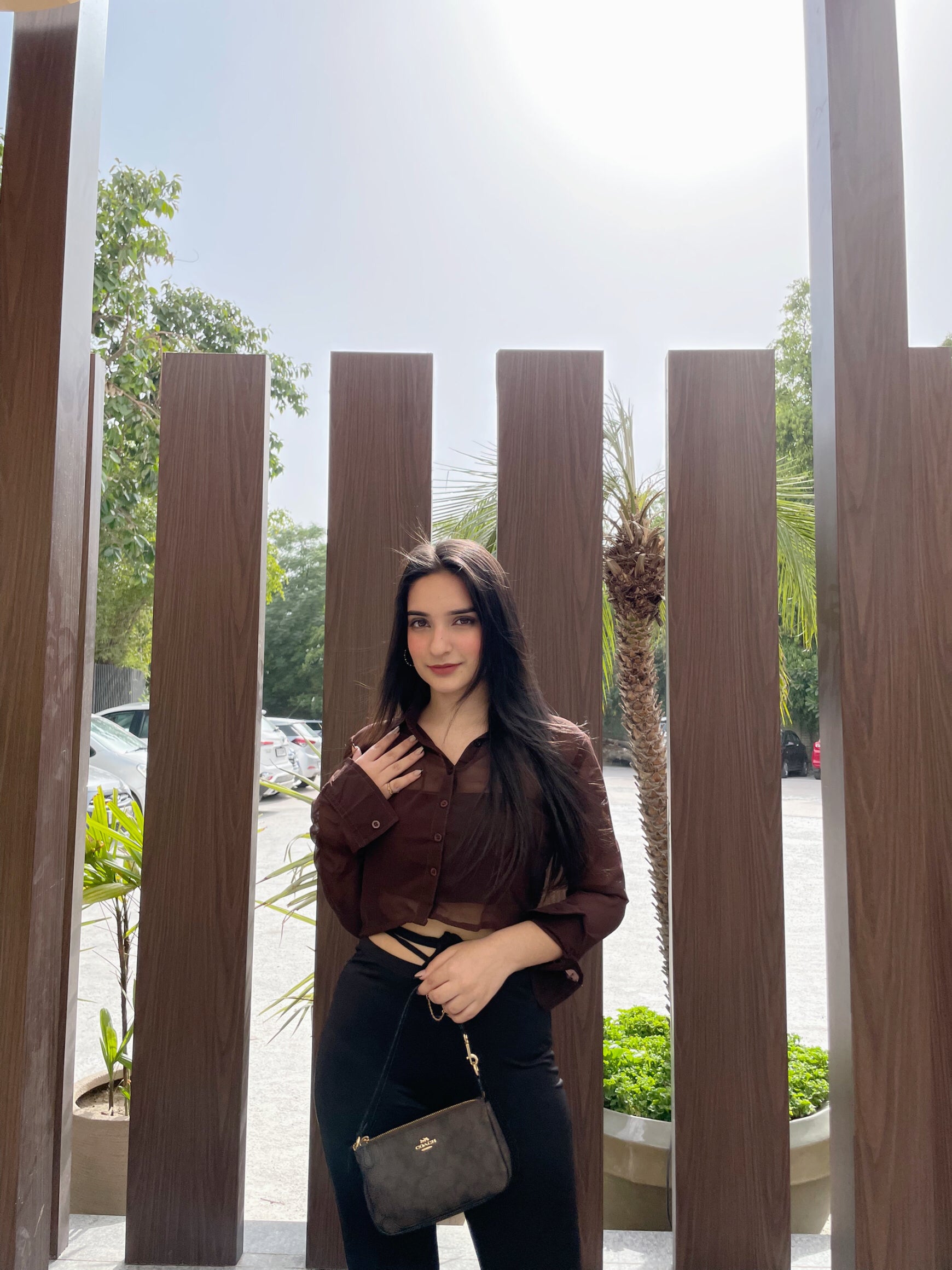 Trixie brown mesh shirt top - Emprall
