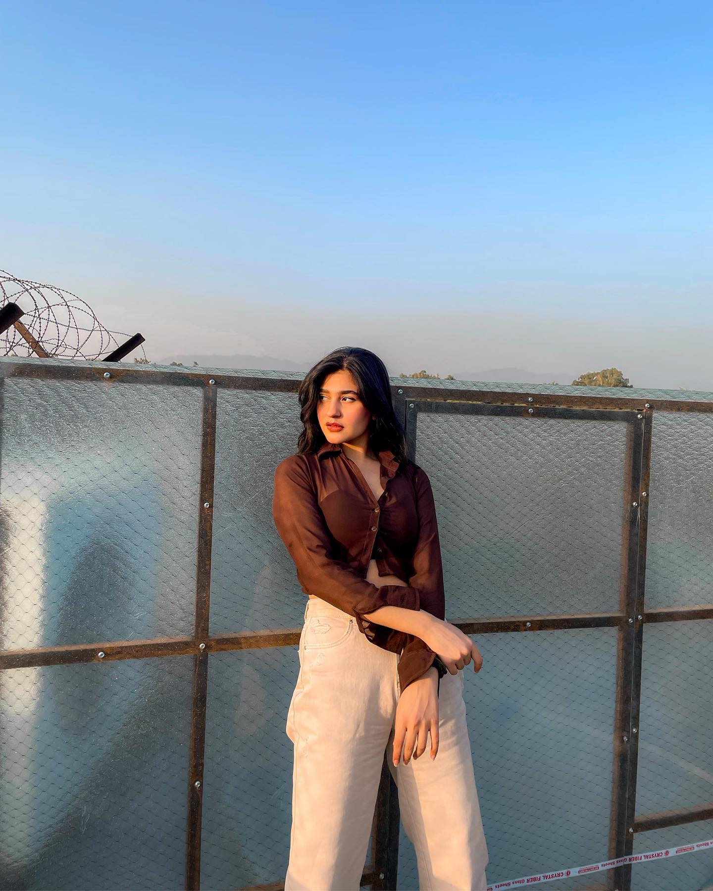 Trixie brown mesh shirt top - Emprall